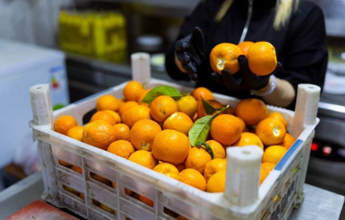 Dalında &Ccedil;&uuml;r&uuml;yen Değil, Sofraya Ulaşan Bereket