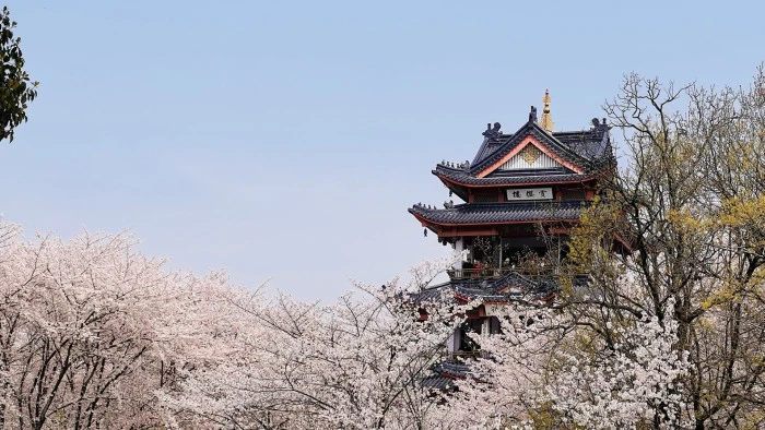 Uluslararası Fotoğraf Yarışması&rsquo;nda kazananlar belli oldu