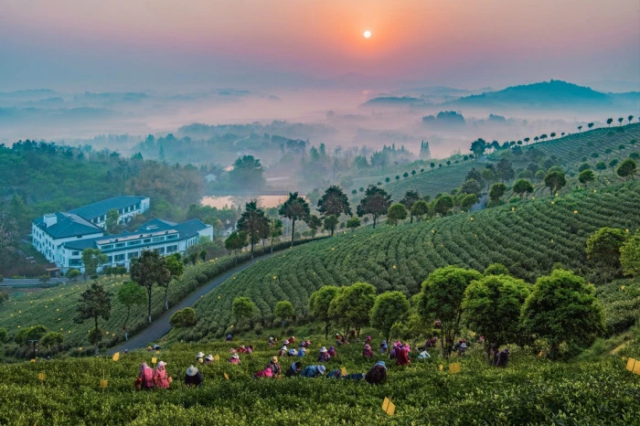 Uluslararası Fotoğraf Yarışması&rsquo;nda kazananlar belli oldu