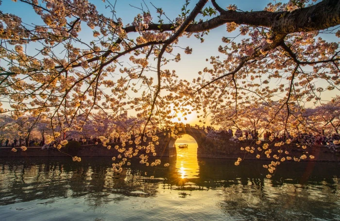 Uluslararası Fotoğraf Yarışması&rsquo;nda kazananlar belli oldu