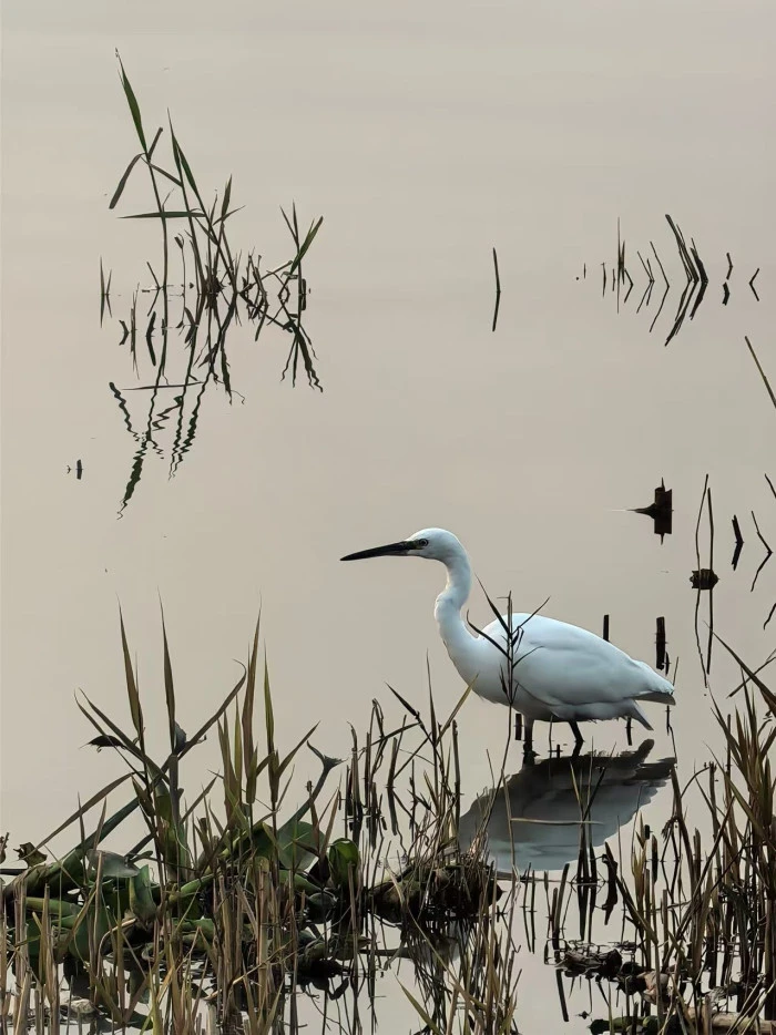 Uluslararası Fotoğraf Yarışması&rsquo;nda kazananlar belli oldu