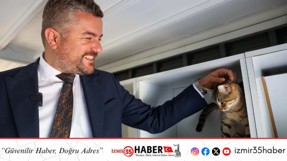 300 can dostu yeni yuvasına kavuştu