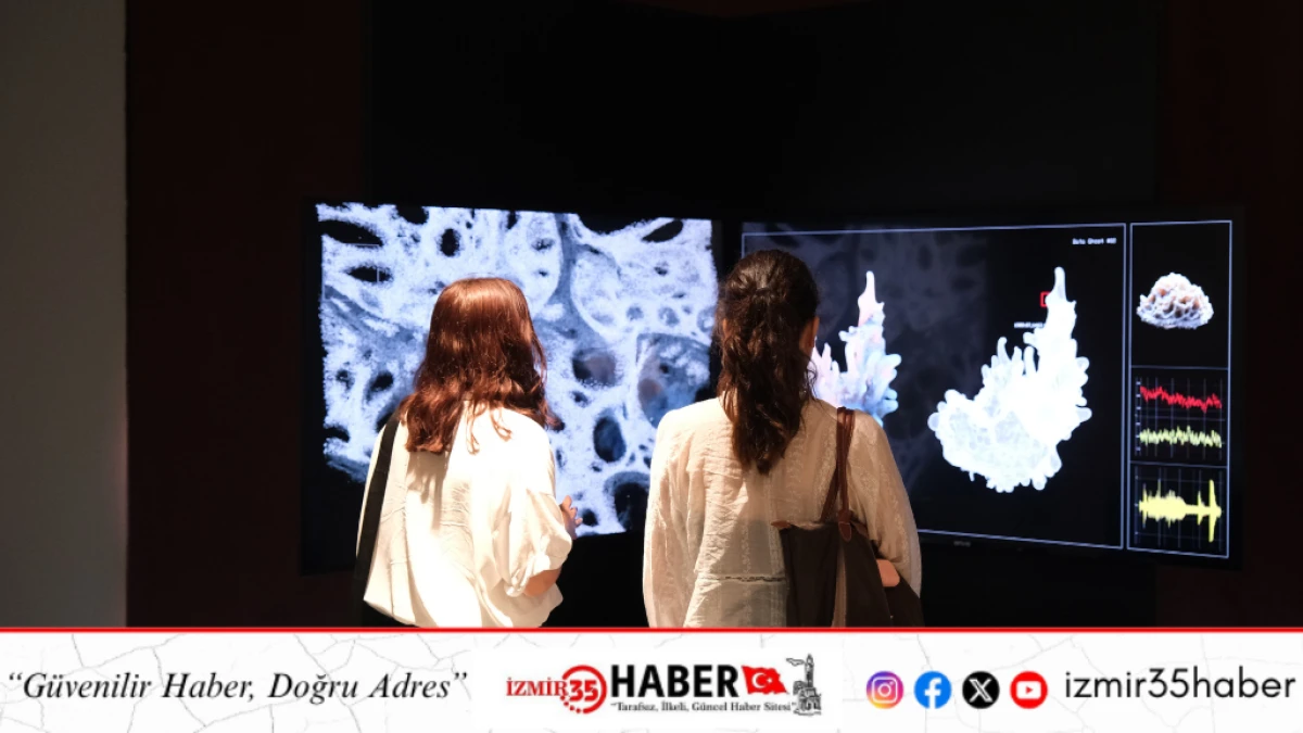 6. İstanbul Dijital Sanat Festivali AKM&rsquo;de Başladı