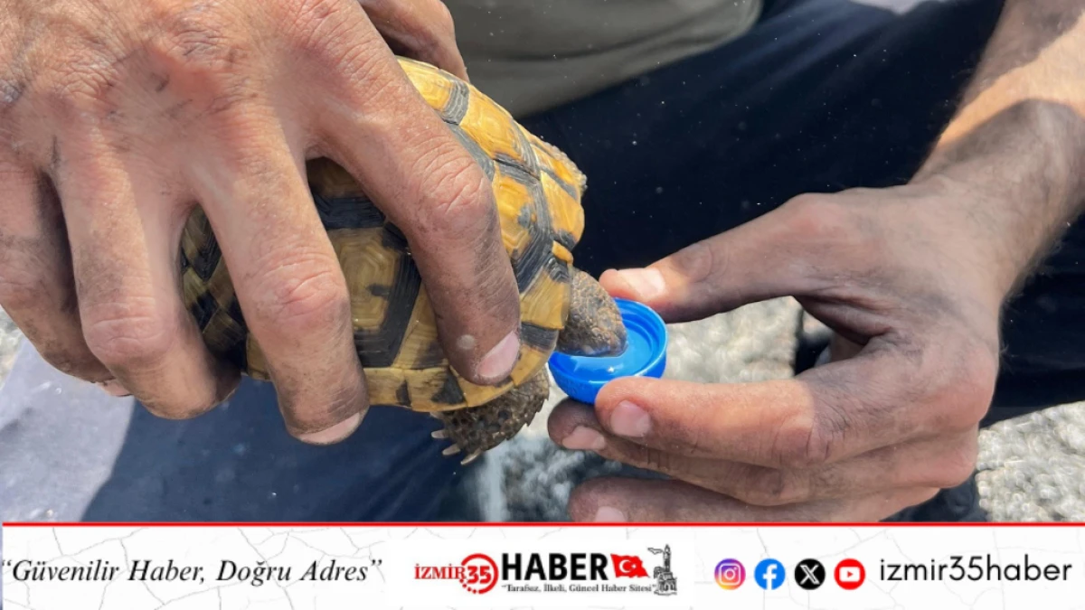 Alevlerin ortasında bir damla hayat