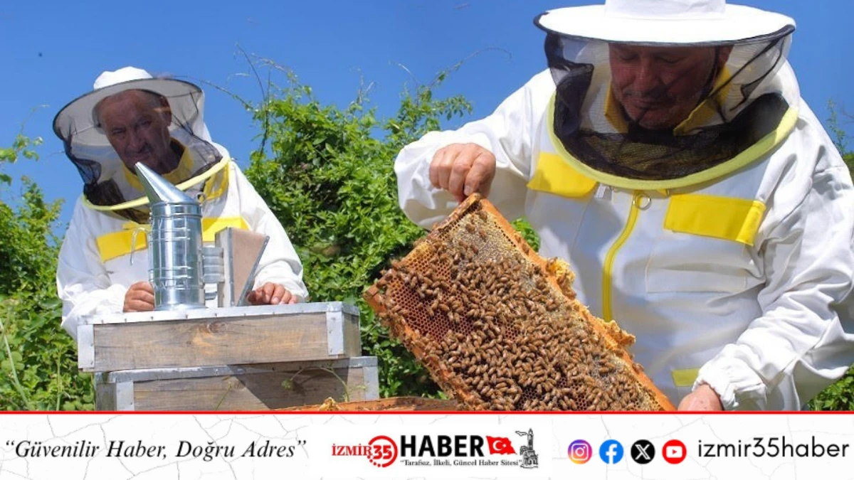 Arılarla Ge&ccedil;en 70 Yıl: Bir &Ouml;mre Sığan 7 Bilgelik Dersi