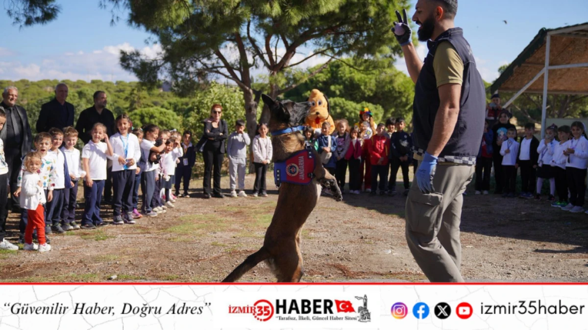 AYVALIK BELEDİYESİ’NDEN DÜNYA HAYVANLARI KORUMA GÜNÜ’NDE ANLAMLI MESAJ