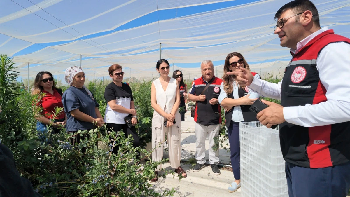 Berry Hill &Ccedil;iftliğine Teknik Gezi