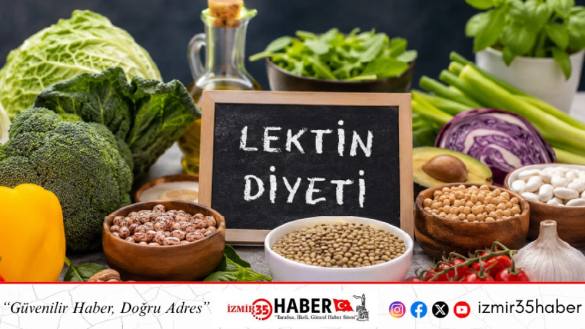 Bitki Paradoksu mu, Sosyal Medya Balonu mu? 