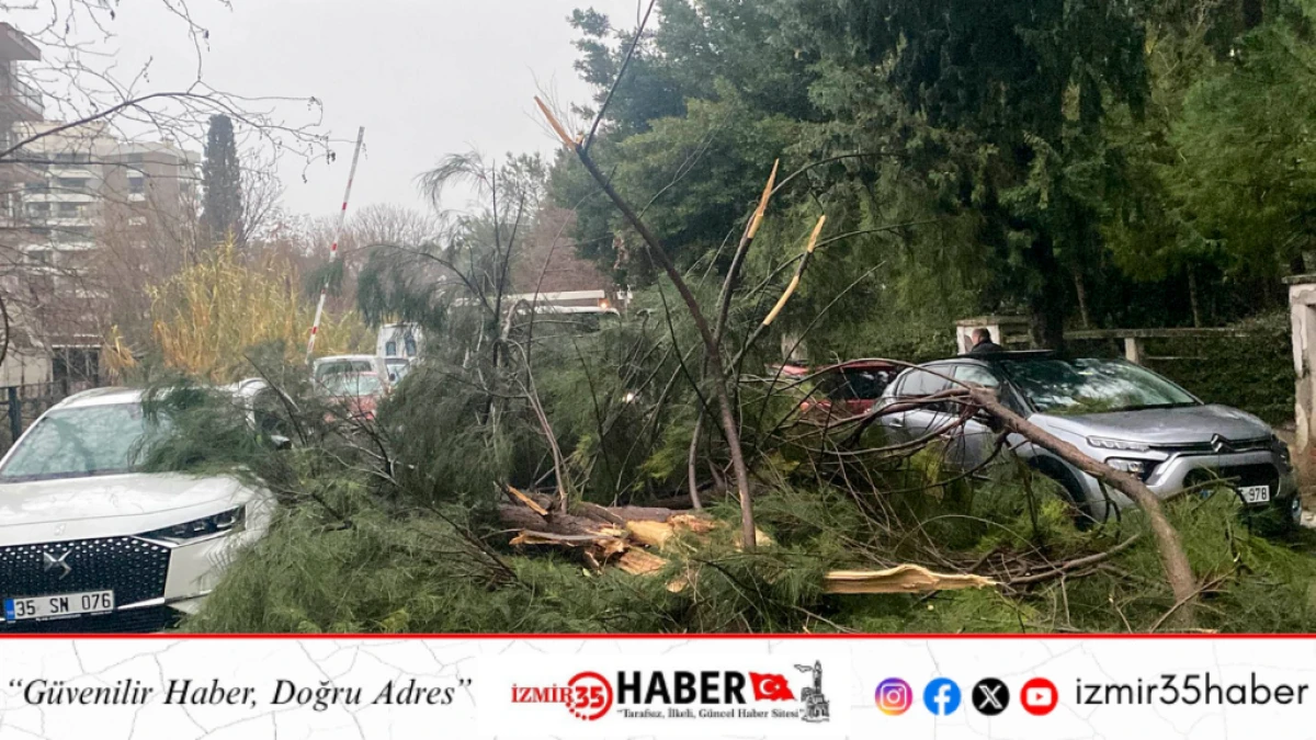 Buca Belediyesi ekiplerinin fırtına ve yağış mesaisi