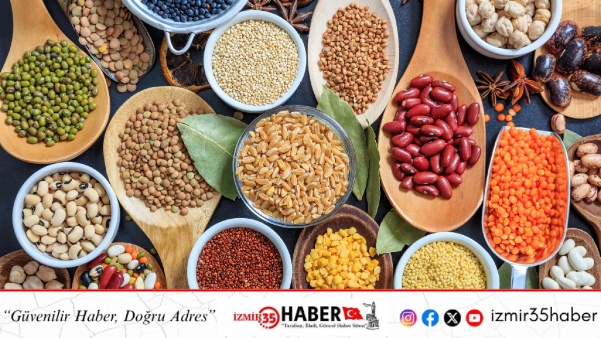 Ege B&ouml;lgesi&rsquo;nin ihracat artış rekortmeni hububat bakliyat yağlı tohumlar sekt&ouml;r&uuml; oldu