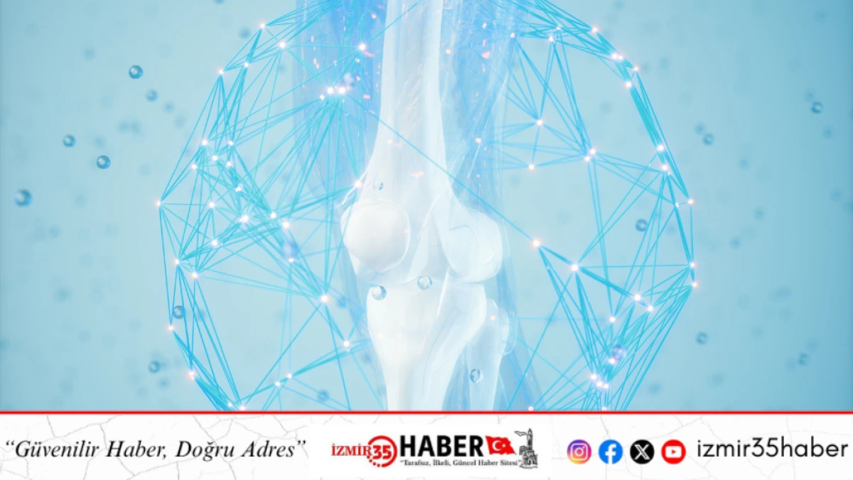 Eksozom Tedavisi ile Doku Onarımını Desteklemek M&uuml;mk&uuml;n