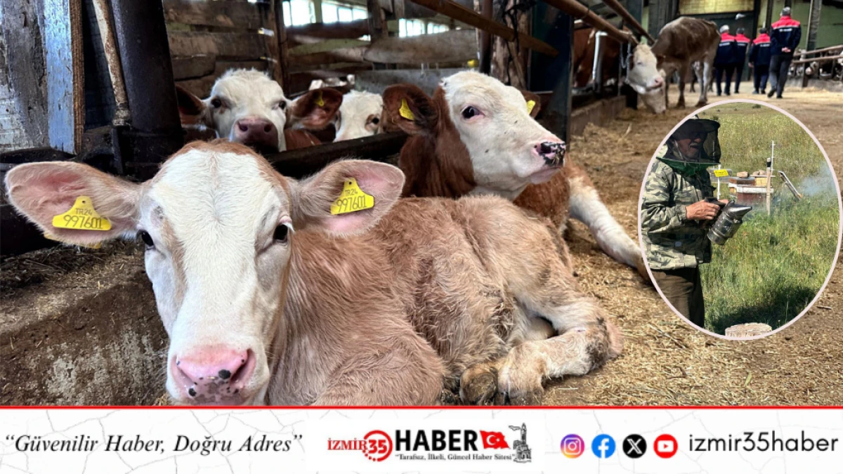 ERZURUM&rsquo;DA ARICILIK, JEOTERMAL TARIM VE ALTERNATİF &Uuml;RETİM MODELLERİ İ&Ccedil;İN G&Uuml;&Ccedil; BİRLİĞİ