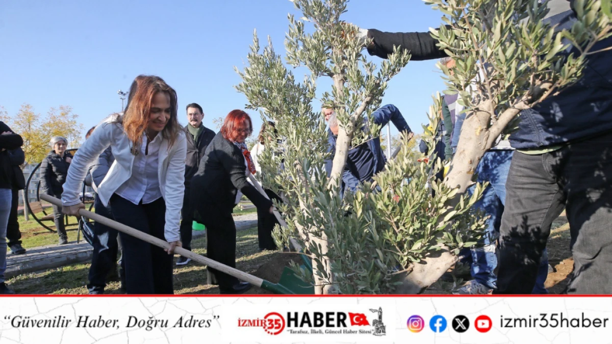 Karşıyaka&rsquo;da zeytin fidanları toprakla buluştu