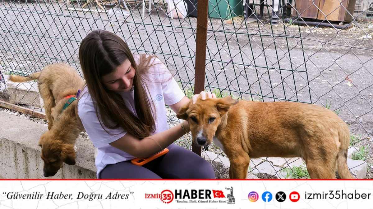 KORTTAN BARINAĞA UZANAN İYİLİK HİKAYESİ