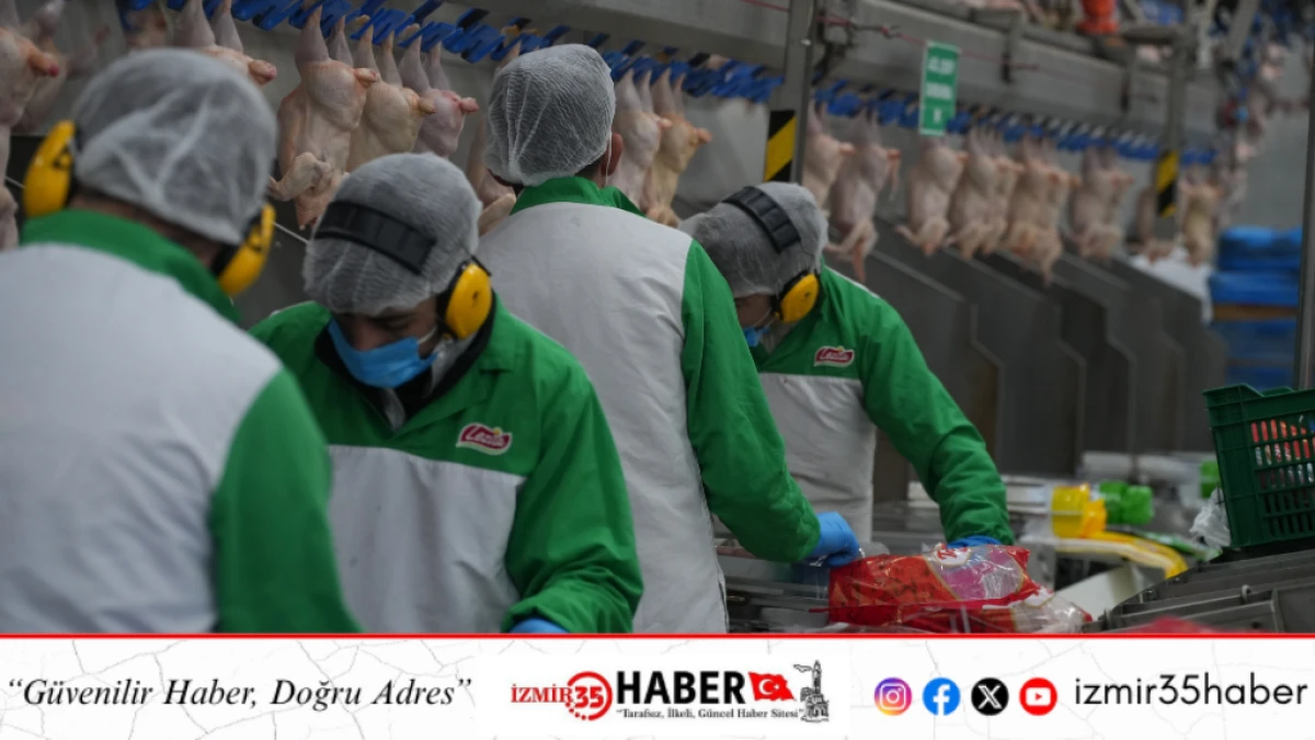 Lezita, deprem b&ouml;lgesinde 130 milyon avroluk yatırımla pili&ccedil; ekosistemi kuracak