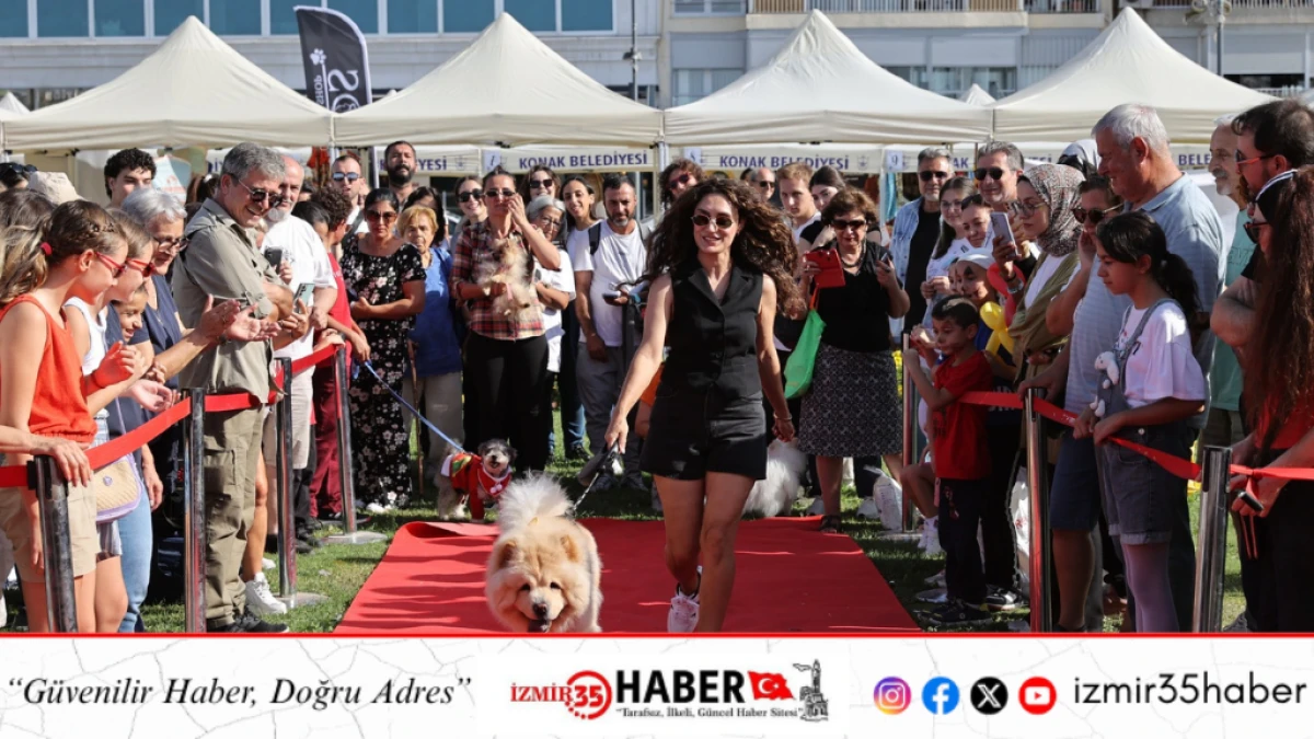 Patilerin Festivali 6 yaşında