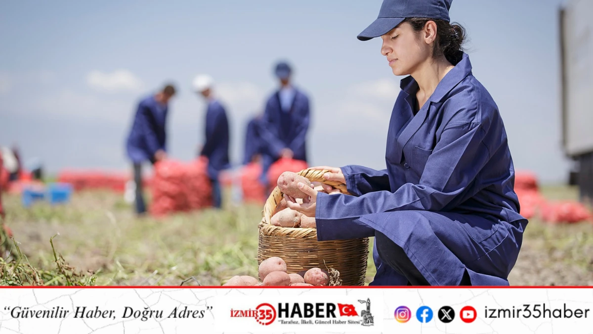 PEPSICO T&Uuml;RKİYE, D&Uuml;NYA &Ccedil;İFT&Ccedil;İLER G&Uuml;N&Uuml;&rsquo;N&Uuml; &Ccedil;İFT&Ccedil;İLERLE BİRLİKTE TARIMIN GELECEĞİNİ İNŞA EDEREK KUTLUYOR