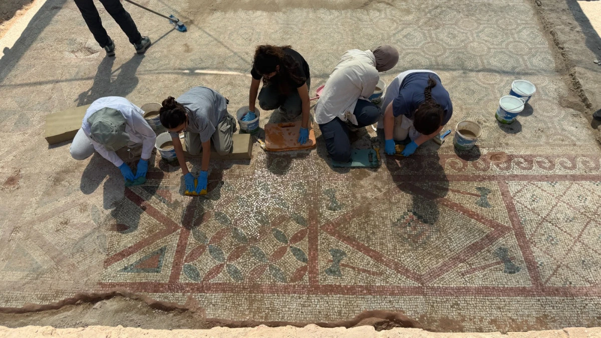 POMPEIOPOLIS&rsquo;TE BİNLERCE YILLIK MİRAS G&Uuml;N IŞIĞINA KAVUŞTU! 105 METREKARELİK MOZAİK ORTAYA &Ccedil;IKARILDI