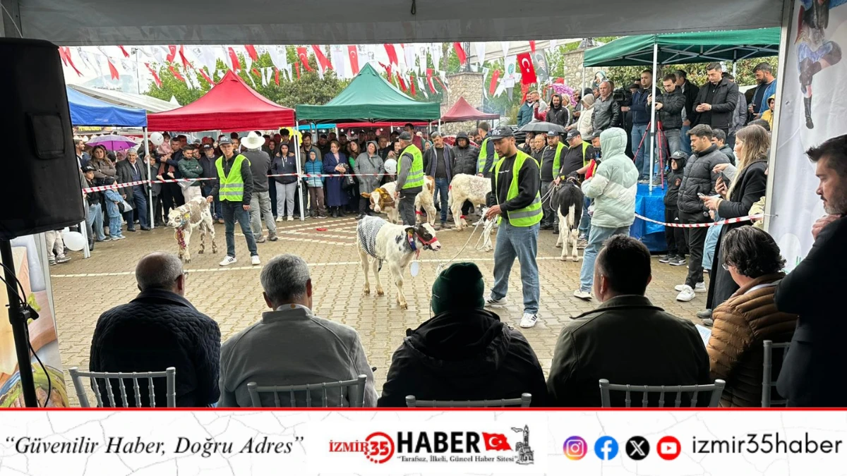 Sevimli buzağılar podyumda g&ouml;zleri kamaştırdı