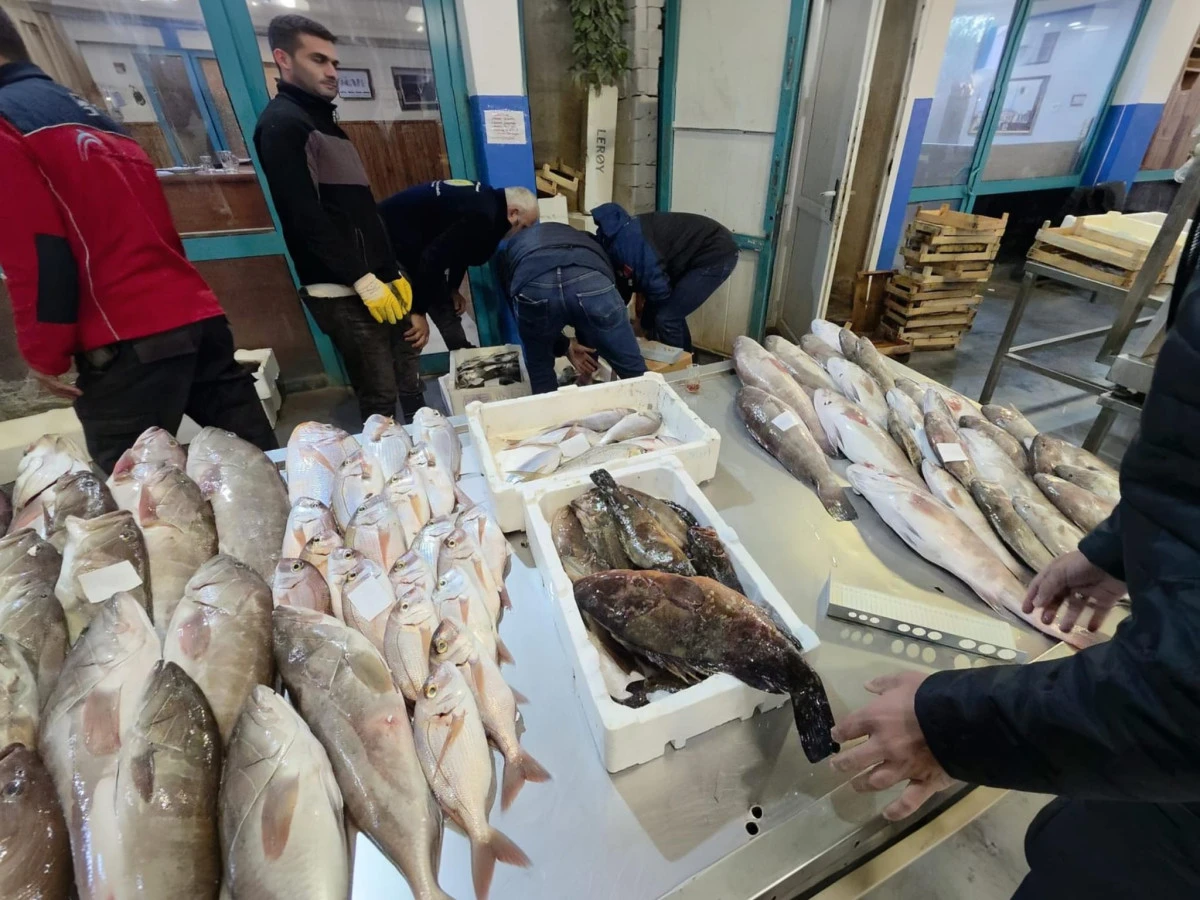 Seyrek G&uuml;zerg&acirc;hında Denetim: 45 Kilogram Canlı Mamun Ele Ge&ccedil;irildi