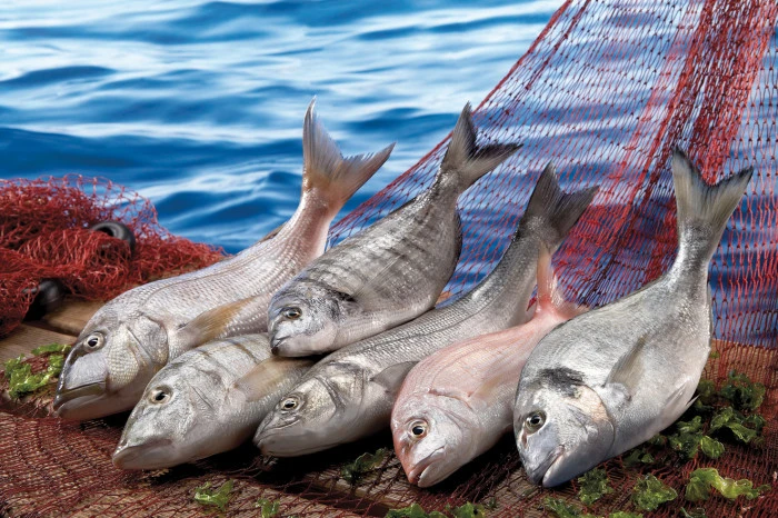 Su &uuml;r&uuml;nleri sekt&ouml;r&uuml; Future Fish Eurasia&rsquo;da buluşuyor