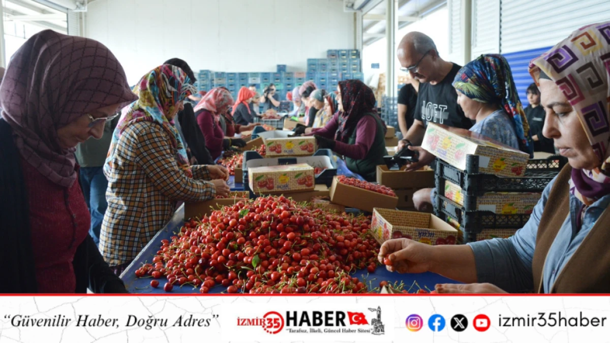 Tarım ihracatı y&uuml;zleri g&uuml;ld&uuml;r&uuml;yor 1 milyar dolarlık ihracat