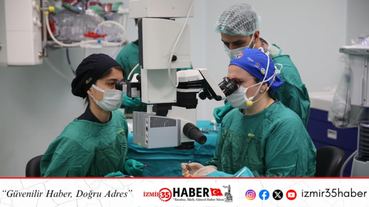 T&uuml;rk g&ouml;z hekimleri canlı cerrahide  d&uuml;nyaya &ouml;nc&uuml;l&uuml;k ediyor