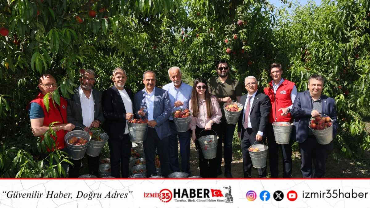 T&uuml;rkiye şeftali ve nektarinde 250 milyon dolar ihracat hedefi koydu