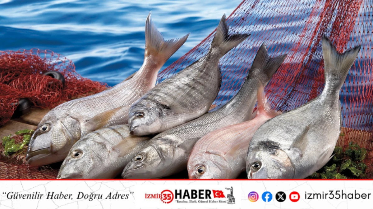 T&uuml;rkiye su &uuml;r&uuml;nleri ve hayvansal mamuller sekt&ouml;r&uuml; ihracatta 4 milyar doları aştı