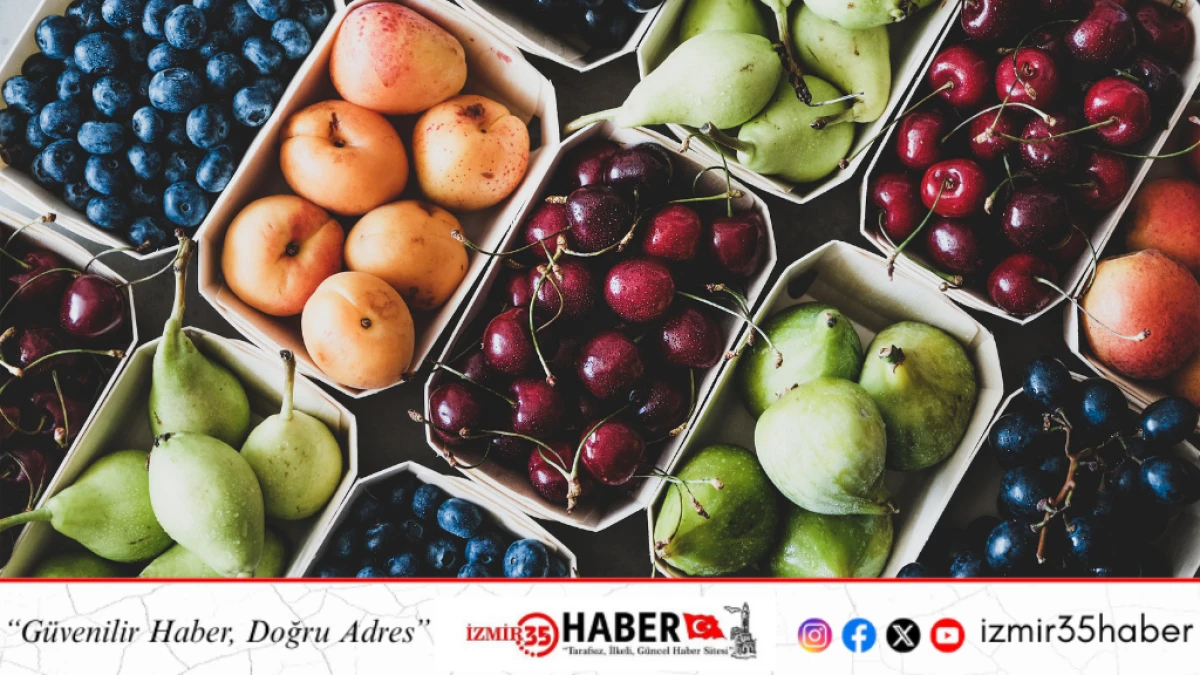 T&uuml;rkiye Yaş Meyve Sebze İhracatını 22 Yılda &Uuml;&ccedil;e Katladı