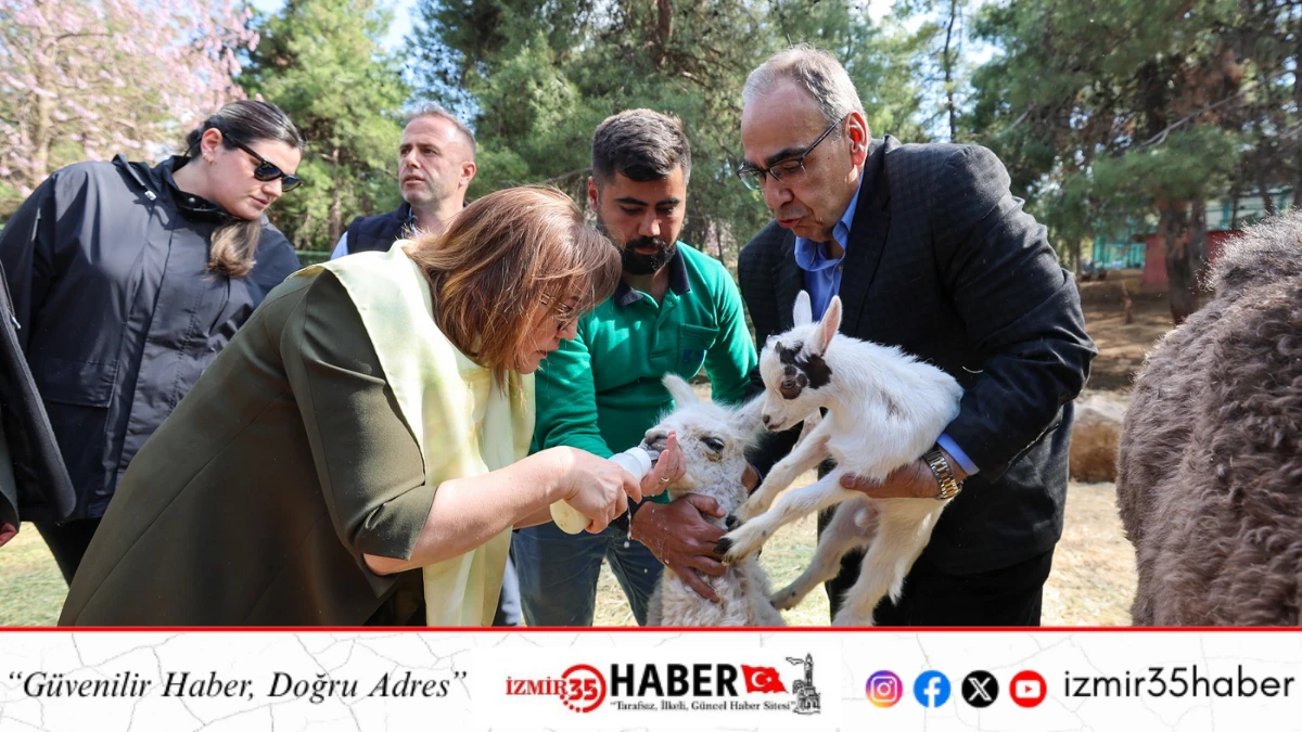 T&Uuml;RKİYE&rsquo;DE DOĞAN İLK Z&Uuml;RAFA YAVRUSU, GAZİANTEP DOĞAL YAŞAM PARKI&rsquo;NDA!