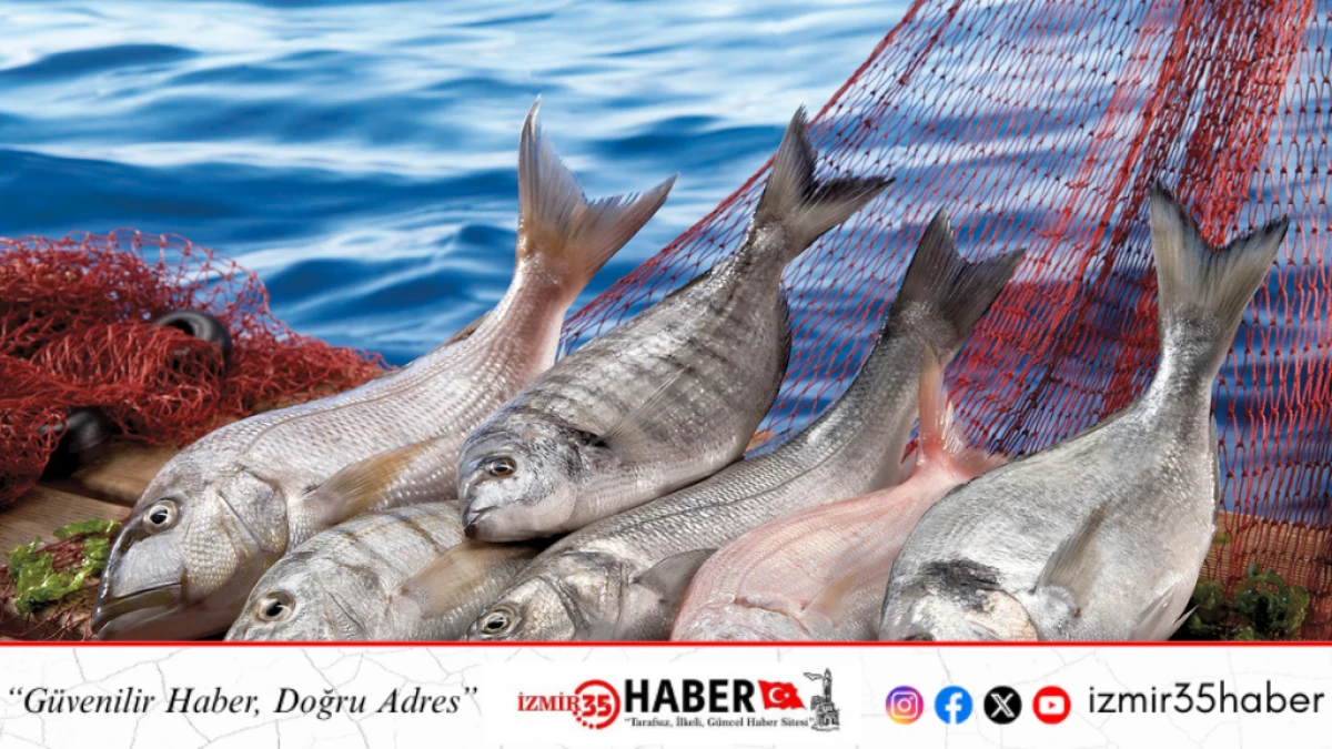 T&uuml;rkiye&rsquo;nin balık ihracatı 2026 yılına rekorla girdi