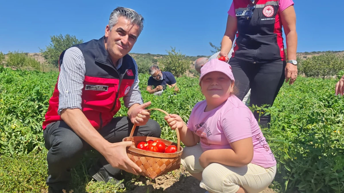 Yamanlar Tarla Domatesi Tarla G&uuml;n&uuml;&rsquo;nde &Uuml;reticilerle Buluştu