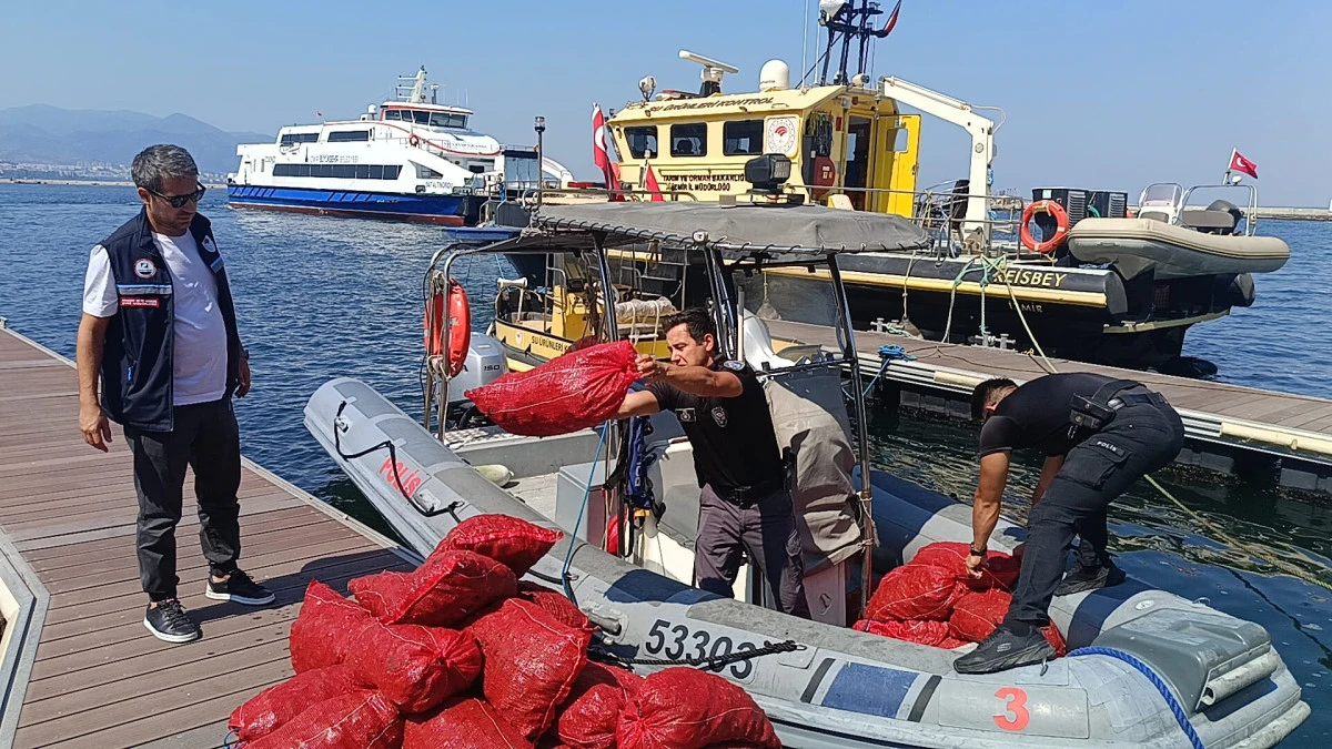 Yasa Dışı Kara Midye Avcılığına Ge&ccedil;it Yok