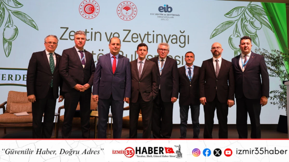 Zeytinyağı sekt&ouml;r&uuml; doğru rekolte &ccedil;alışması ve AB&rsquo;den kota istiyor