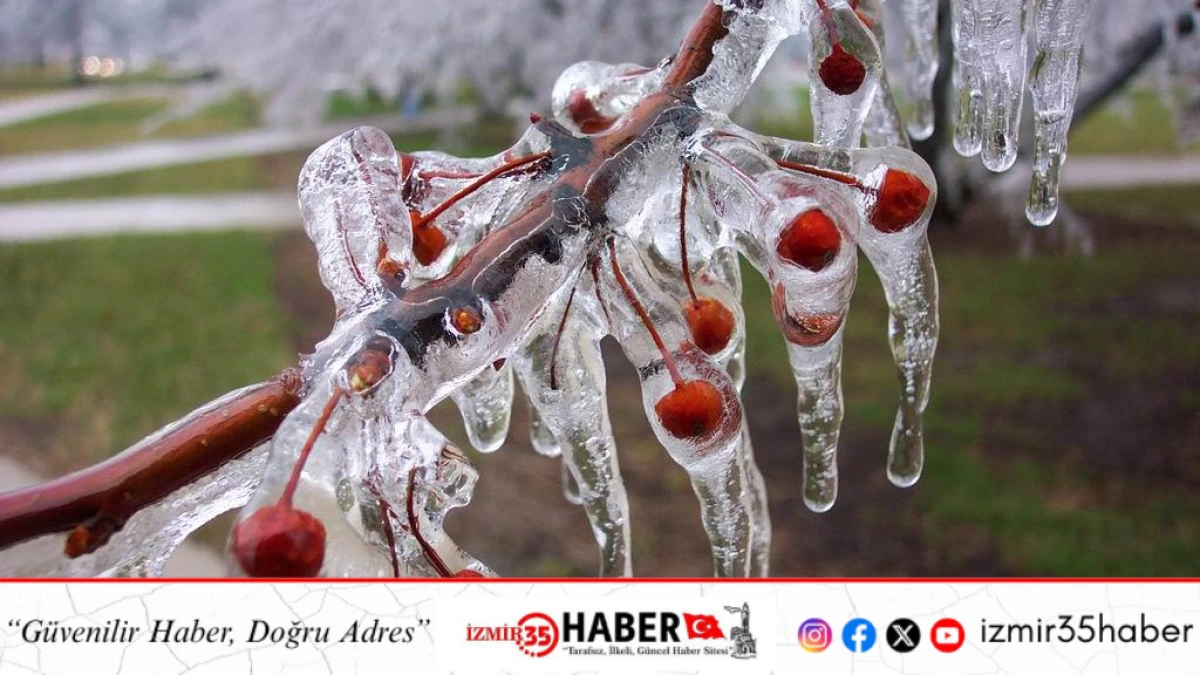 ZİRAİ DON İ&Ccedil;İN RİSKLİ D&Ouml;NEM YAKLAŞIYOR